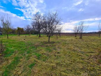 Prodej zahrad 500m2, rovina, sad - 10