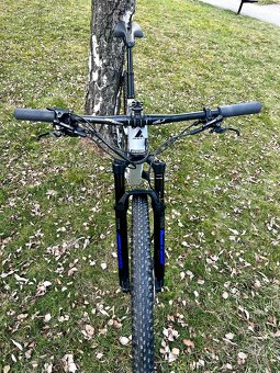 Wild Edge Trail (XC) - BULLS - 10