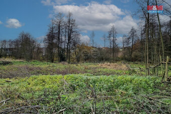 Prodej pozemku k bydlení, 1000 m², Františkovy Lázně - 10