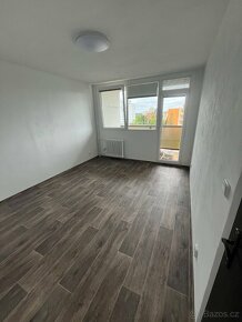 Nově zrekonstruovaný slunný byt v Plzni, Bory - 10
