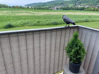 Prodej bytu 2+kk 71,97m2 s terasou, sklepem včetně vybavení - 10