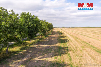 Prodej pozemku k bydlení, 1964 m², Brumovice - 10