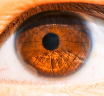 Pergear 100mm F2.8 Full Frame 2X Ultra Macro L mount, nové - 10