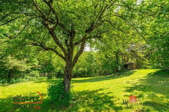Prodej, pozemky/ostatní, 4878 m2, U Koupaliště, Říčany, Brno - 10
