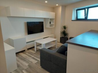 Pronájem kompletně zařízeného bytu 2+kk, 51 m² – Sedlec - 10