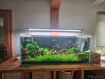 Akvárium Optiwhite 240l - 10