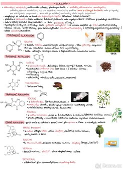 Maturitní otázky z chemie - 10