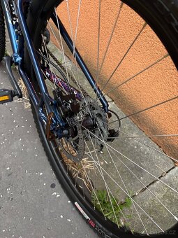 Horské dívčí kolo Specialized - 10
