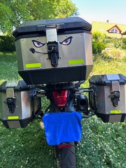 Triumph Tiger  800 XCx - 10