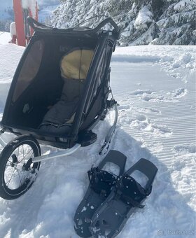 Thule Chariot Sport - 10
