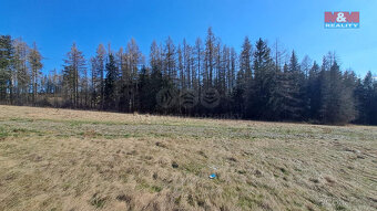 Prodej pozemku, 742 m², Václavov u Bruntálu - Horní Václavov - 10