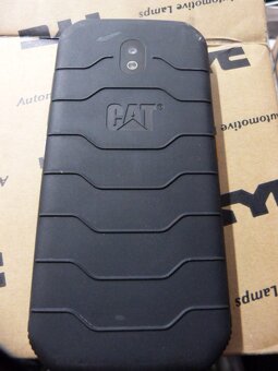 Cat - 10