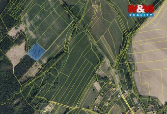 Prodej ovocného sadu v Morašicích - 10