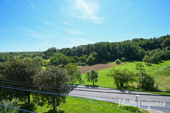 Prodej bytu 1+1 35 m² Nížkovice - 10