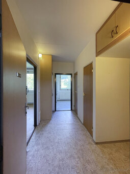 Prodej bytu 1+1, 42 m², s lodžií a krásným výhledem - 10