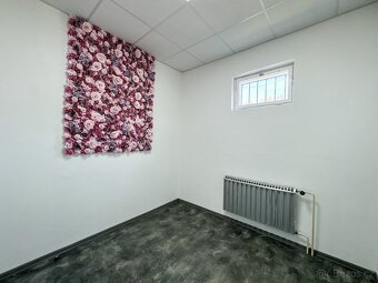 Pronájem nebytových prostor 124m2 - 10