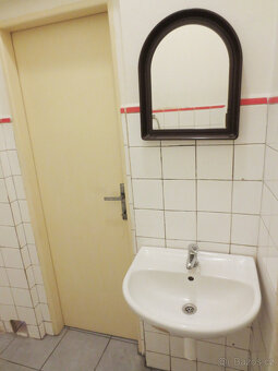 Prostorný byt 2+1 na Klatovské třídě - 10