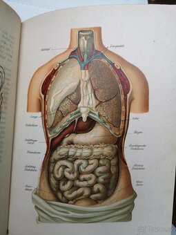Starožitná kniha, lékařská příručka - 10