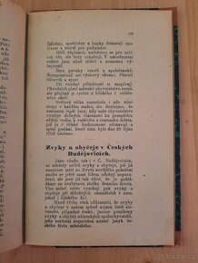 Ze starých Českých Budějovic, vydáno 1921 - 10