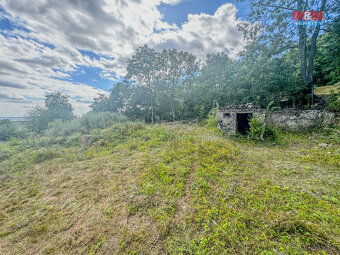 Prodej zahrady, 3500 m², Třebenice - 10