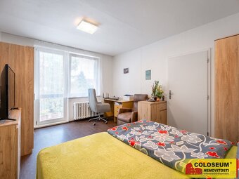 Bílovice nad Svitavou, byt 1+1, 35 m2, balkón, sklep - byt - 10