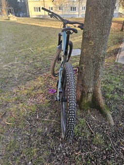 Specialized Stumpjumper Comp Alloy 2021 - 10