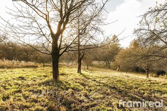 Prodej pozemky pro bydlení, 4 179 m2 - Staré Město - Bílá St - 10