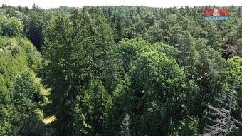 Prodej lesa, 5323 m², Olší u Opařany - 10