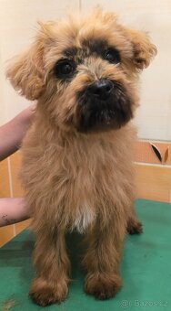 Nagini hledá domov - 10