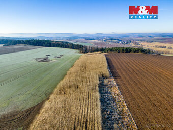 Prodej pole, 24512 m², Horšovský Týn - 10