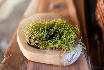 Svatební věci k zapůjčení - 10