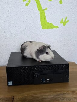 🚀 Spolehlivý Dell SFF – Intel i5 / 16GB RAM/256ssd - 10