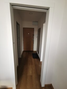 Centrum - Karlovina 1+1 po rekonstrukci, částečně zařízené - 10