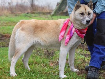 Dafne hledá domov - 10