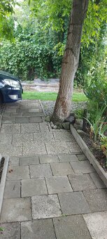 Zahrada s chatkou Havířov-prostř.Suchá - 10