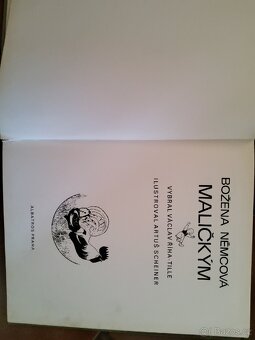 Božena Němcová a její díla - 10