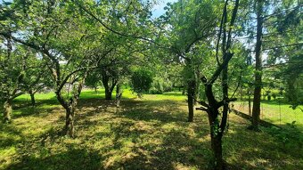 Stavební pozemek 1866,79 m², Orlovice - 10