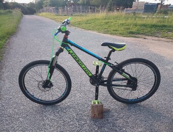 ✅ MTB/DIRT Leader Fox Sport XC, 8x3r, 24" ✅ - 10