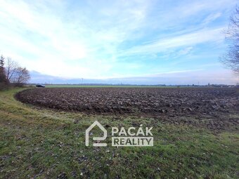 Prodej rybník, 15 995 m2 - Kožušany-Tážaly - Kožušany - 10