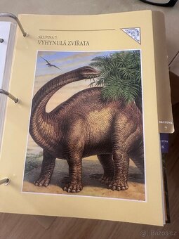 Encyklopedie Zvířat - 10