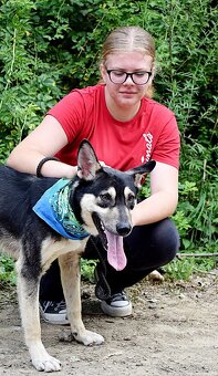 FLOKY K ADOPCI - 1 ROK, HRAVÝ,MILÝ,VHODNÝ K DĚTEM - - 10