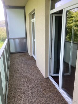 Pronájem bytu 2+kk v novostavbě, Rezidence Moser, K. Vary - 10