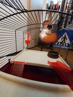 prodám klec pro hlodavce - 10