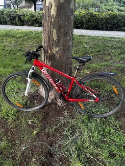Kolo Specialized Crosstrail 28” - 10