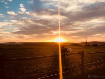 Pastevní ustájení Kočvary - 10