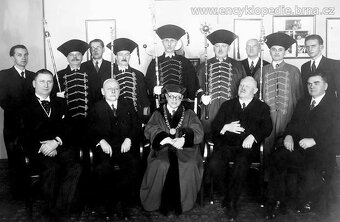 UNIKÁTNÍ Zlatá souprava Šperků - KAREL EBNER -Náramek a Brož - 10