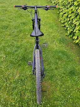 Dámské 29" horské hliníkové kolo Specialized, rám 19"(L) - 10