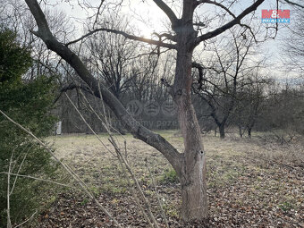 Prodej ovocného sadu, 1184 m², Nová Ves - 10