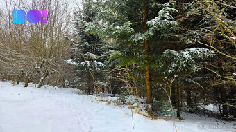 Prodej půdy a lesa, 17 190 m², Liptál - 10