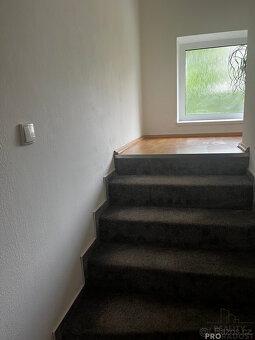 Pronájem bytu 130 m2 v RD Dolní Domaslavice - 10